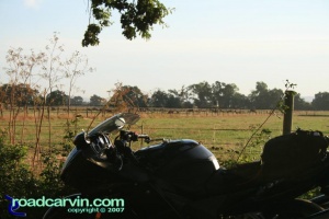 Friday Photo - Cattle Ranch Friday Photo - Cattle Ranch